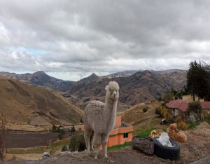 quilotoa day trip from quito